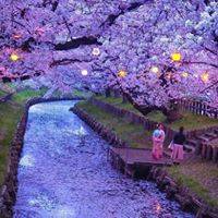 Formation Certifiante Maître Reiki en gironde