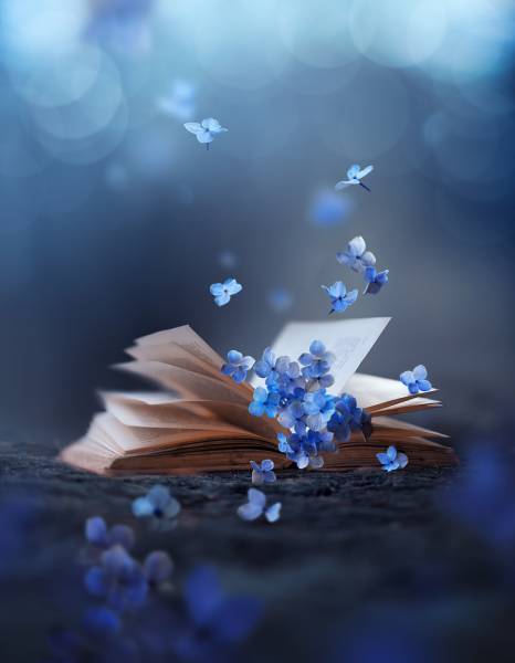 Formation Archives Akashiques Stage Mimizan