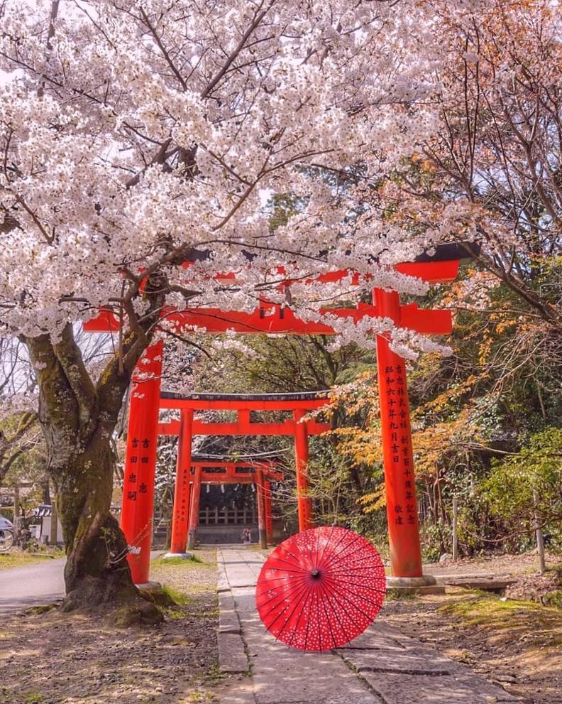 Formation Maître Reiki Usui et Reiki Karuna